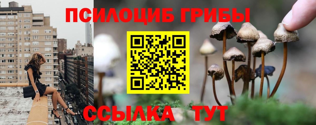 Галлюциногенные грибы GOLDEN TEACHER Ишимбай